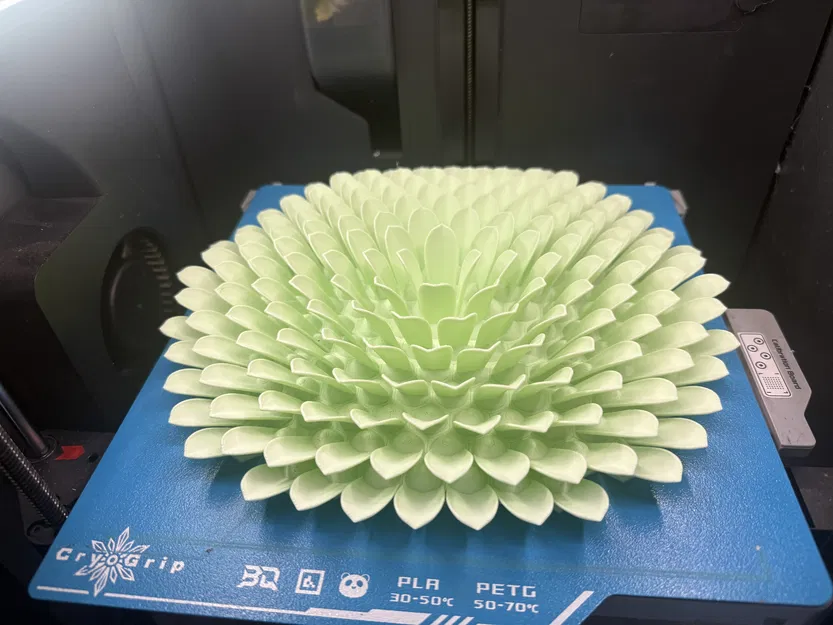 Mini Succulent Art - Test - Image 2