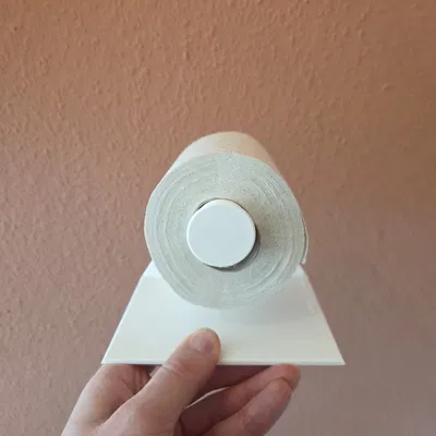 Giá đỡ giấy vệ sinh (Toilet paper holder)