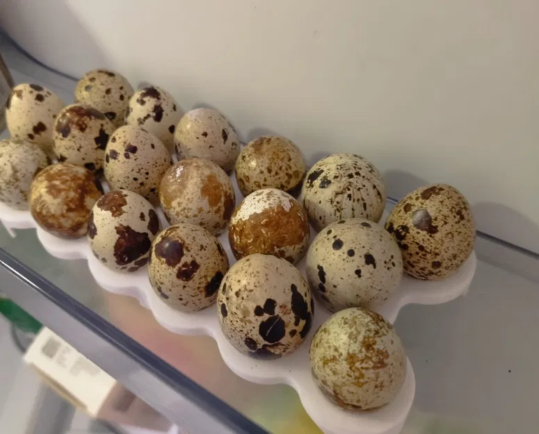 Khay/giá để 18 trứng cút - Image 2