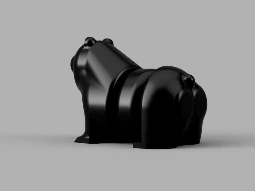 Thick Bear (Gấu Dày) - Image 2