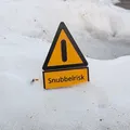 Snubbelrisk - Thumbnail 1