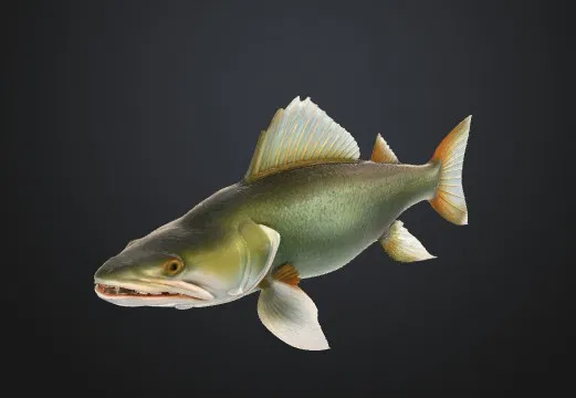 GREEN FISH ZELENA RYBA (Cá xanh) - Image 1