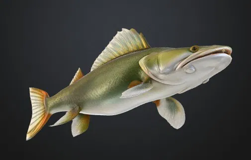 GREEN FISH ZELENA RYBA (Cá xanh) - Image 2