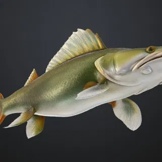 GREEN FISH ZELENA RYBA (Cá xanh)