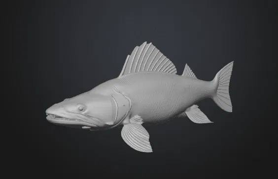 GREEN FISH ZELENA RYBA (Cá xanh) - Image 3