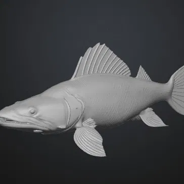 GREEN FISH ZELENA RYBA (Cá xanh)