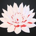 WATERLILY FLOWER – Hoa súng - Thumbnail 1