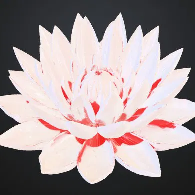 WATERLILY FLOWER – Hoa súng