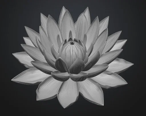 WATERLILY FLOWER – Hoa súng - Image 2