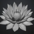 WATERLILY FLOWER – Hoa súng - Thumbnail 2
