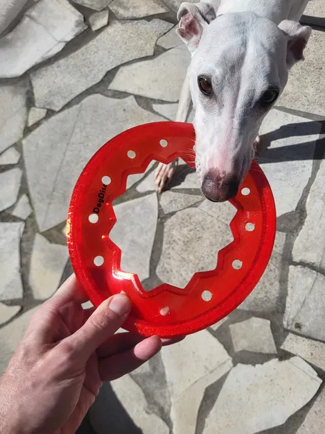Dog Disc V2 - Frisbee - TPU TOY - Image 1