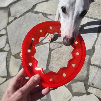 Dog Disc V2 - Frisbee - TPU TOY