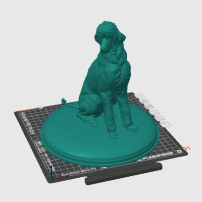 Dáng Poodle Vương Giả (Regal Poodle Pose)