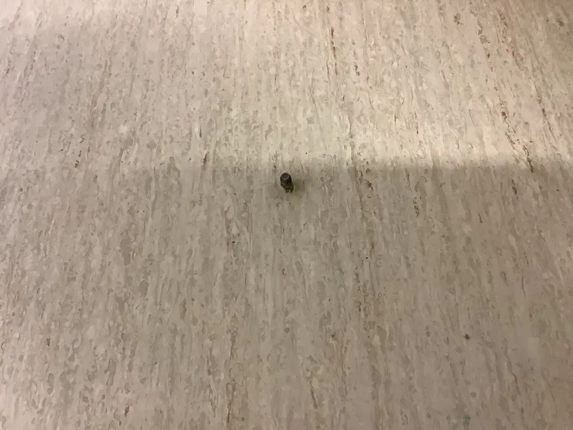 Chặn cửa (Door stop) - Image 3