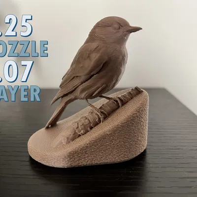 Chim BlueBird Đậu Trên Cành