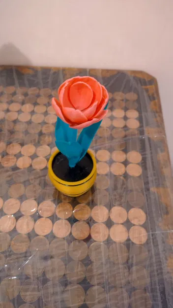 Tulip – Hoa tulip - Image 2