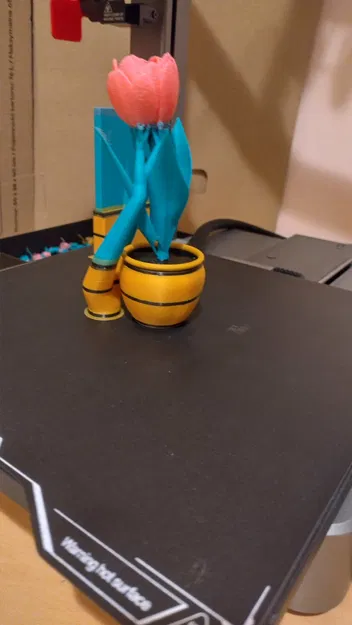 Tulip – Hoa tulip - Image 3