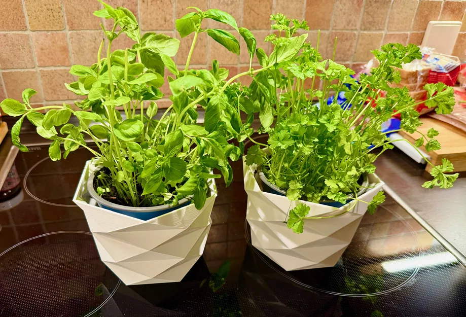 Low Poly Übertopf (chậu bọc low poly cho rau thơm) - Image 1