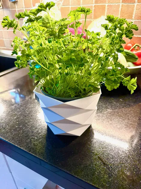 Low Poly Übertopf (chậu bọc low poly cho rau thơm) - Image 2