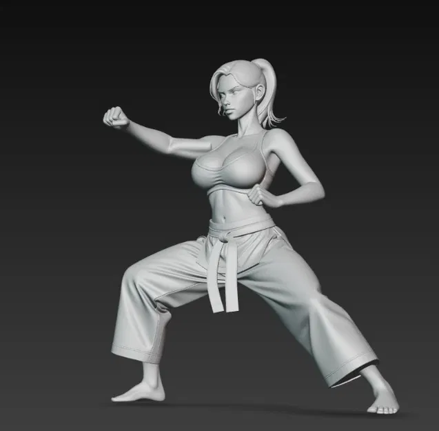 Cô gái gợi cảm đang tập karate - Image 2