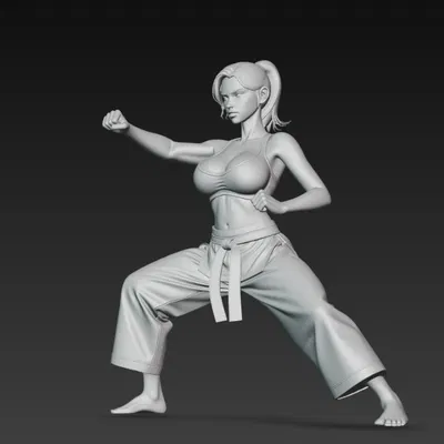 Cô gái gợi cảm đang tập karate