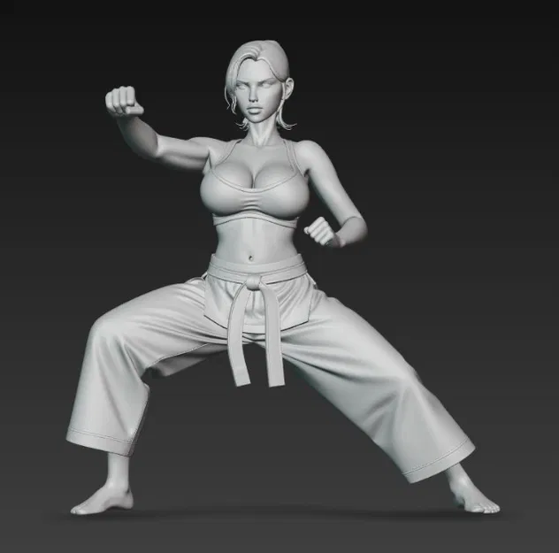 Cô gái gợi cảm đang tập karate - Image 3