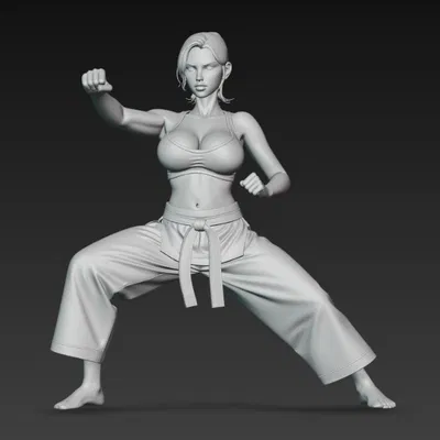 Cô gái gợi cảm đang tập karate