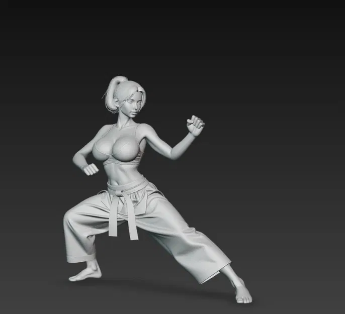 Nữ võ sĩ karate - Image 2