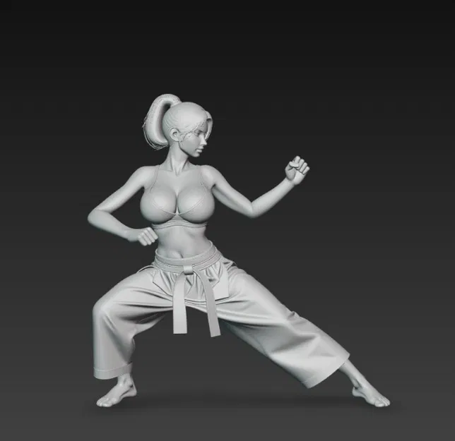 Nữ võ sĩ karate - Image 3