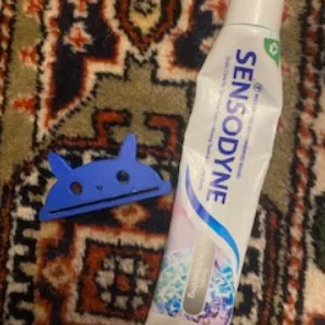 Mèo vắt tuýp kem đánh răng!