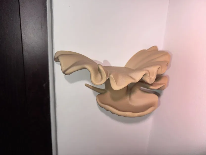 Kệ treo tường thiết kế (Designer wall shelf) - Image 2