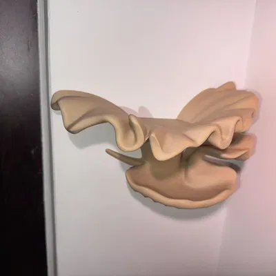 Kệ treo tường thiết kế (Designer wall shelf)