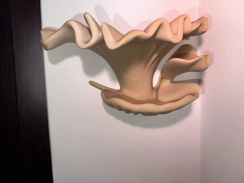 Kệ treo tường thiết kế (Designer wall shelf) - Image 3