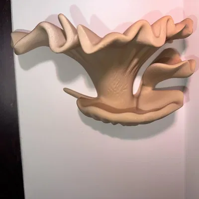 Kệ treo tường thiết kế (Designer wall shelf)