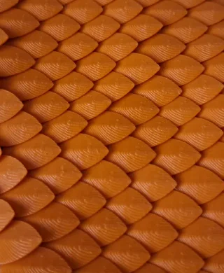 Vảy rồng (Dragon scale) - Image 1