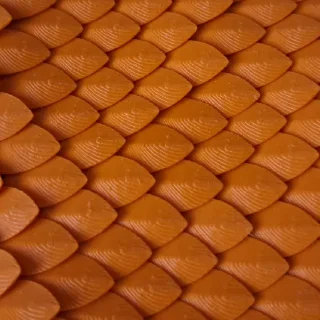 Vảy rồng (Dragon scale)