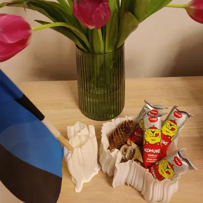 Bộ bình hoa bản đồ Estonia (Estonia map vase set)