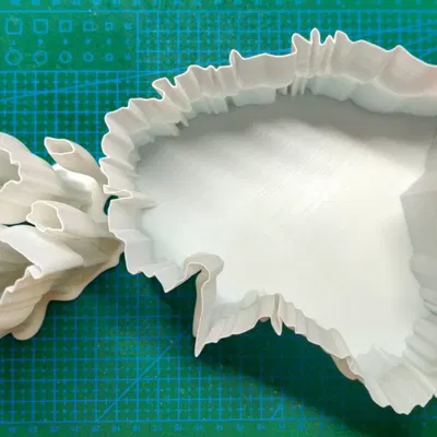 Bộ bình hoa bản đồ Estonia (Estonia map vase set)