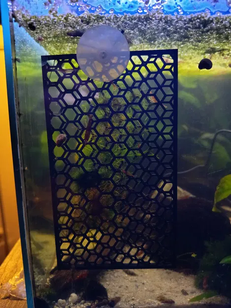 Đồ giữ rêu đơn giản cho hồ aquarium - Image 1