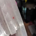 Khuôn nến kỳ lân TPU (TPU Unicorn Candle Mold) - Thumbnail 6