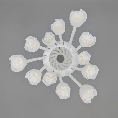 Bó Hoa Hyperboloid Valentine