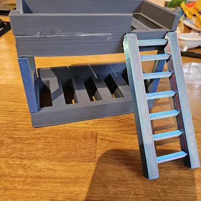 Giường tầng kèm thang và cầu trượt (bunk beds and slide)