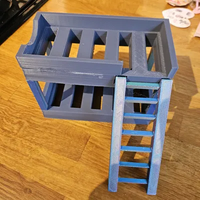 Giường tầng kèm thang và cầu trượt (bunk beds and slide)