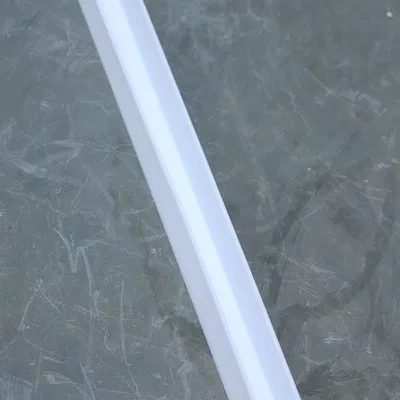 Gioăng cửa phòng tắm (Shower door gasket)