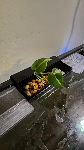 Rổ Trồng Cây Treo Hồ Cá (Plant Basket, Basket for Plants) - Image 1