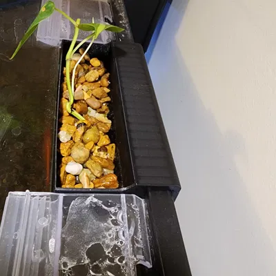 Rổ Trồng Cây Treo Hồ Cá (Plant Basket, Basket for Plants)