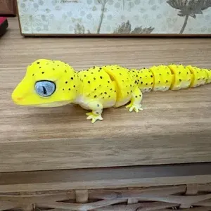 Gecko Flexible (Thằn lằn gecko dẻo)