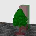 Miniature Tree (Cây mô hình thu nhỏ) - Thumbnail 2