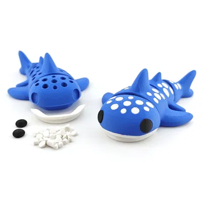 Cá mập voi linh hoạt (Articulated) – AMS & No AMS