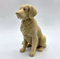 Chó Golden Retriever ngồi phong cách khắc gỗ - Thumbnail 3